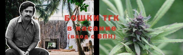 прущие грибы Абаза