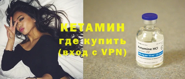 прущие грибы Абаза