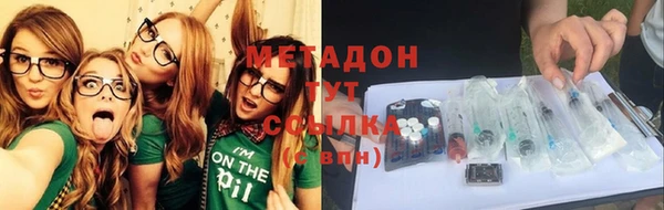 прущие грибы Абаза
