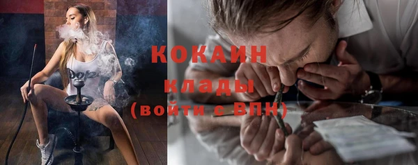 прущие грибы Абаза