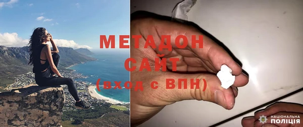 прущие грибы Абаза