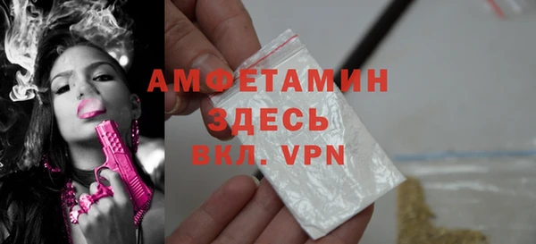 прущие грибы Абаза