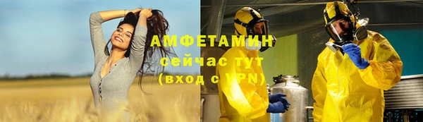 прущие грибы Абаза