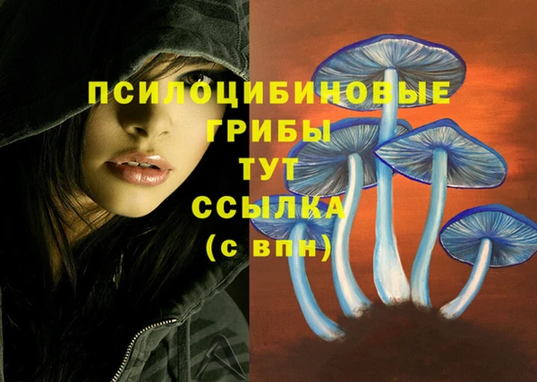 хмурый Абдулино