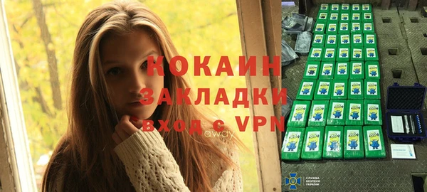 прущие грибы Абаза