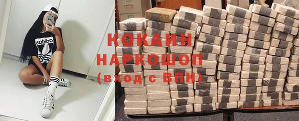 прущие грибы Абаза