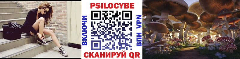 Псилоцибиновые грибы Magic Shrooms  купить закладку  Ангарск 